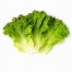Салат листовий зелений 100г