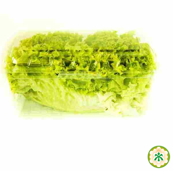 Салат листовий зелений 100г